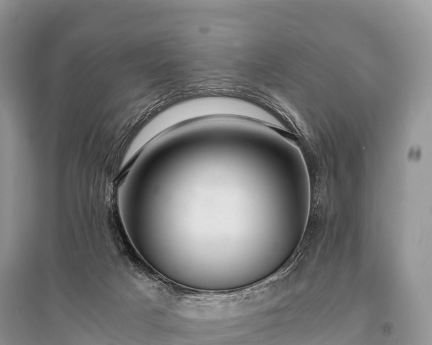 X0000096160025200801251138