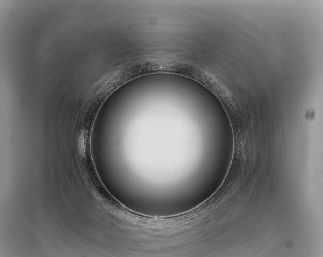 X0000096160026200801251138