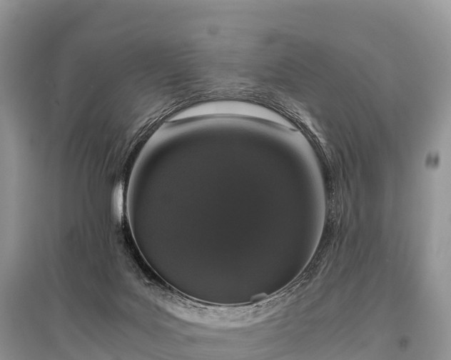 X0000096160027200801251138