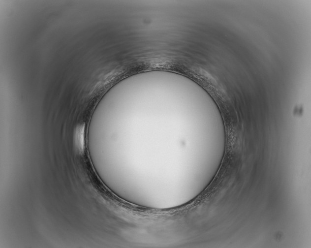 X0000096160028200801251138