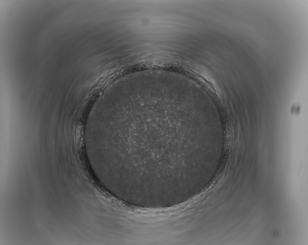 X0000096160029200801251138