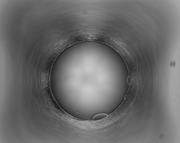 X0000096160030200801251138