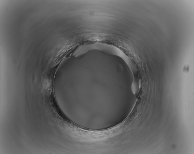 X0000096160031200801251138