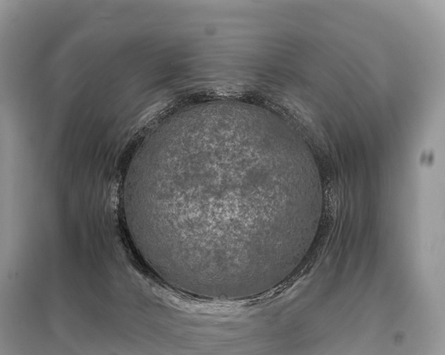 X0000096160032200801251138