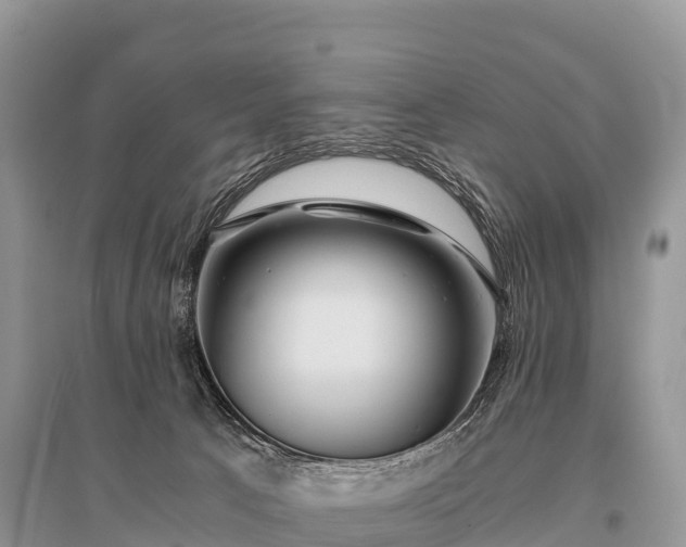 X0000096160033200801251138