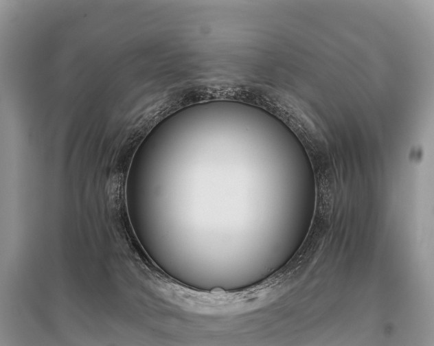 X0000096160034200801251138