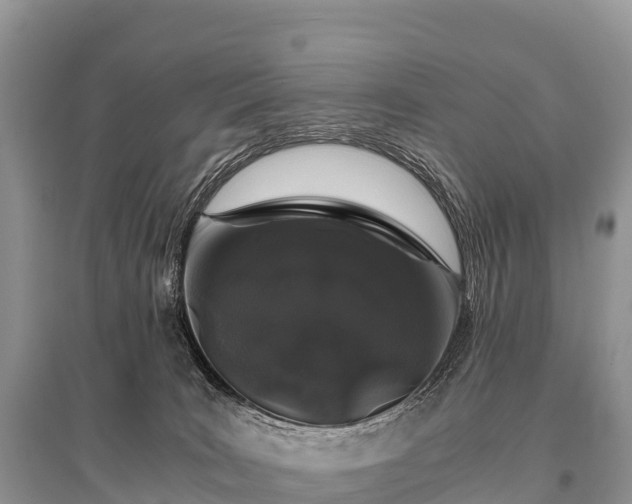 X0000096160035200801251137