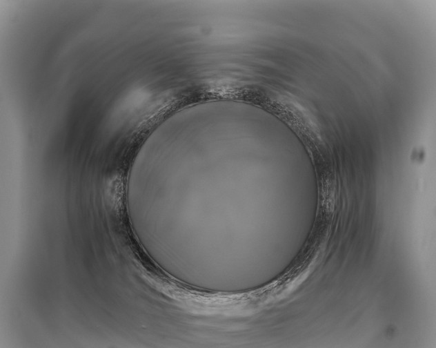 X0000096160036200801251137