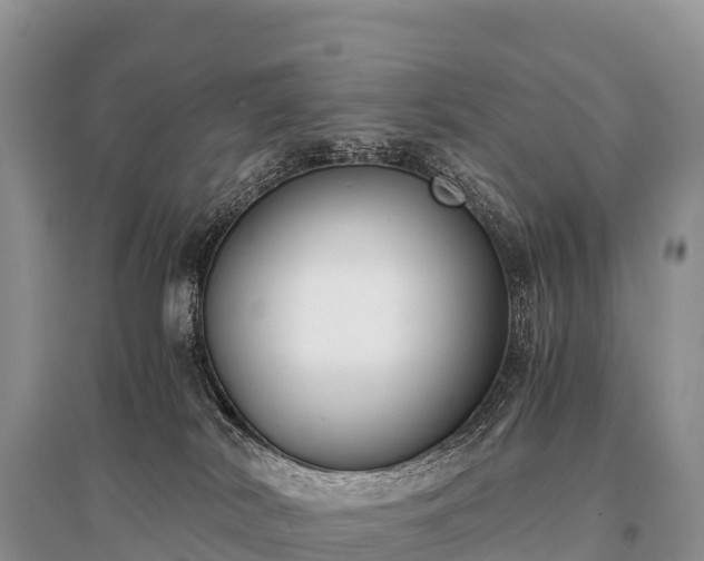 X0000096160038200801251137