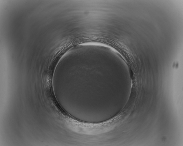 X0000096160039200801251137