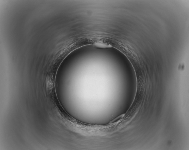 X0000096160040200801251137