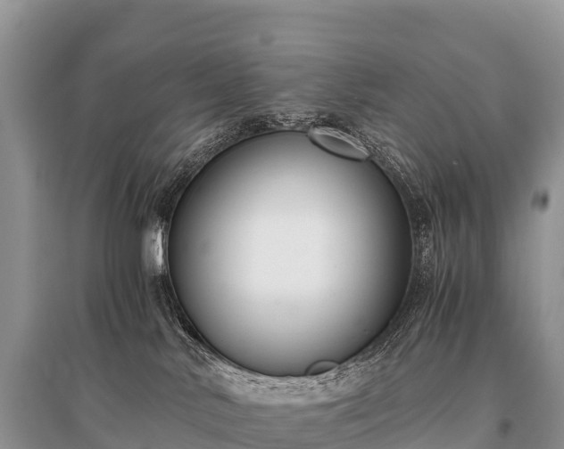 X0000096160042200801251137