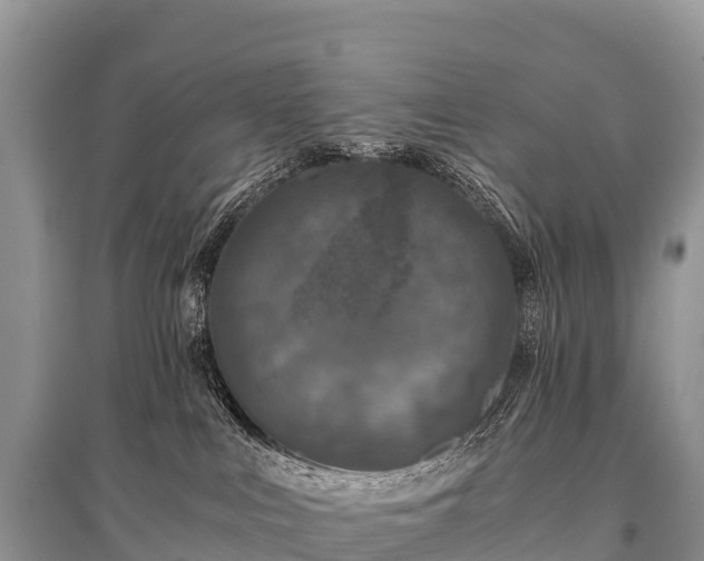 X0000096160043200801251137