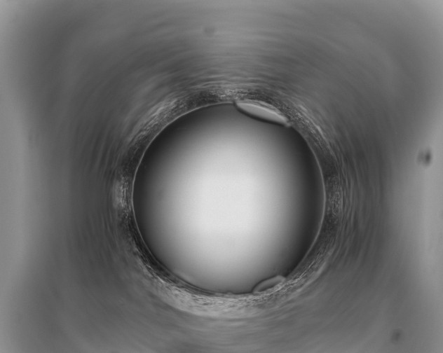 X0000096160044200801251137