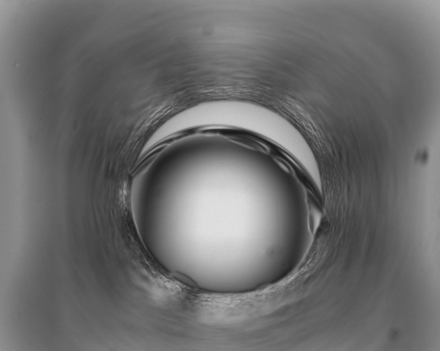 X0000096160045200801251137