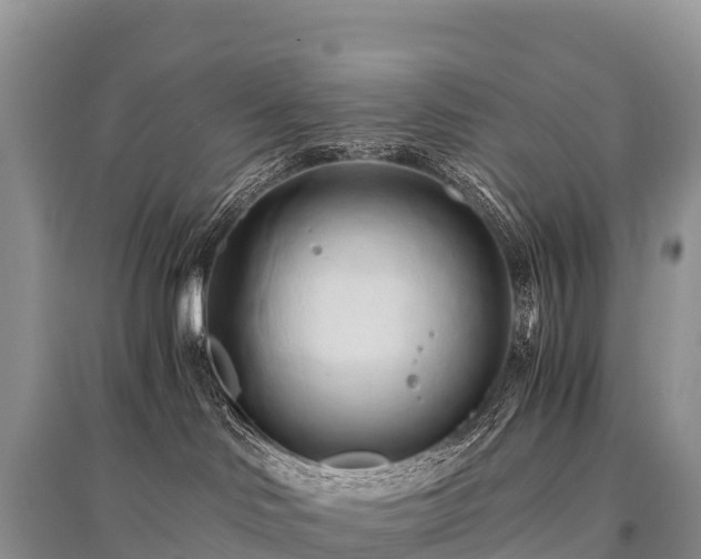 X0000096160046200801251137