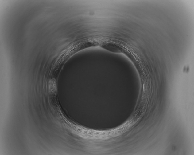 X0000096160048200801251137