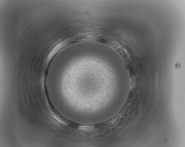 X0000096160051200801251137