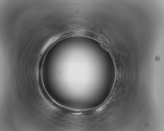 X0000096160054200801251137