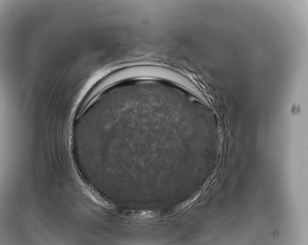 X0000096160056200801251137