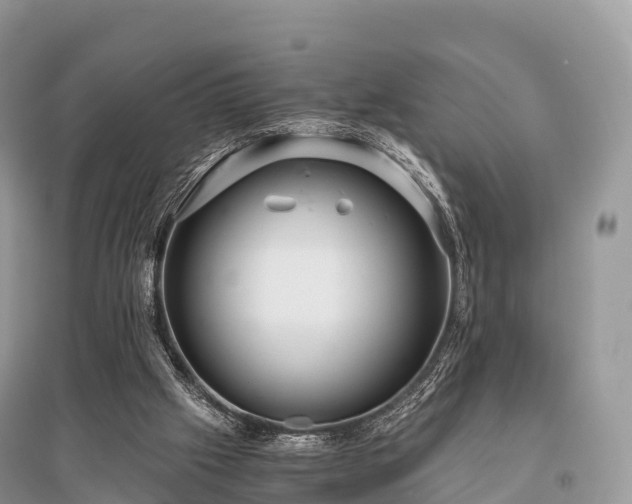 X0000096160057200801251137