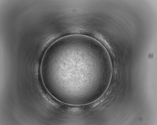 X0000096160058200801251137