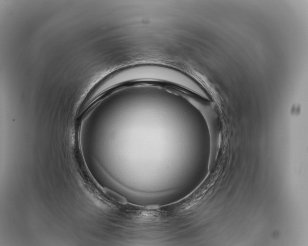 X0000096160060200801251137