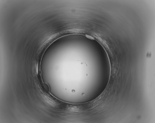 X0000096160062200801251137