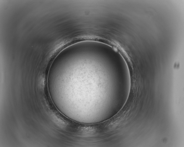 X0000096160063200801251137