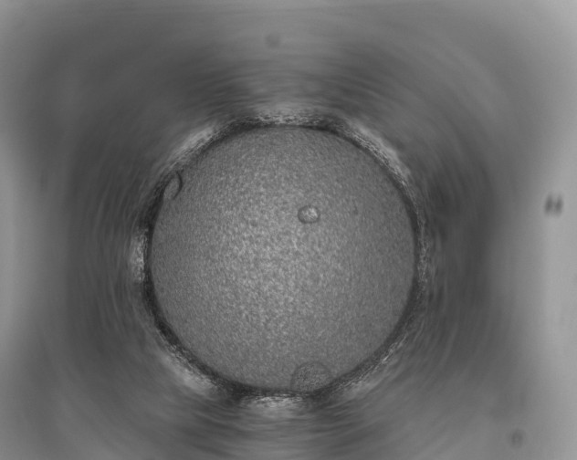 X0000096160065200801251137