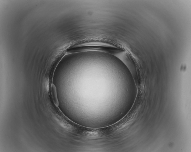 X0000096160068200801251137