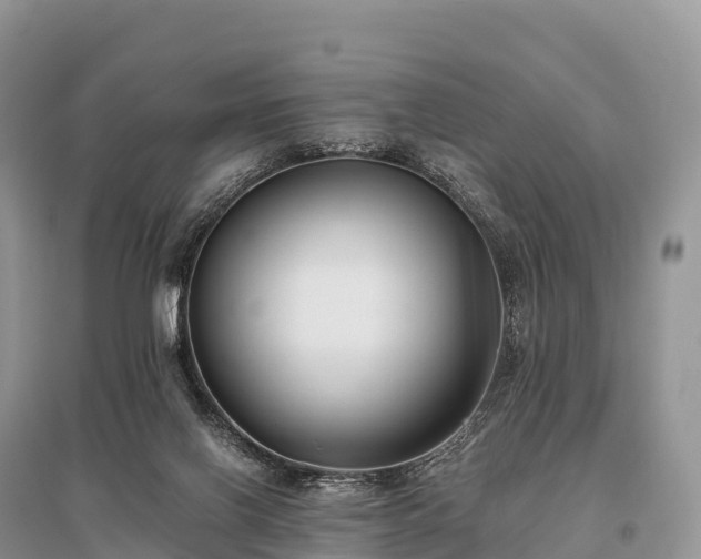 X0000096160070200801251137