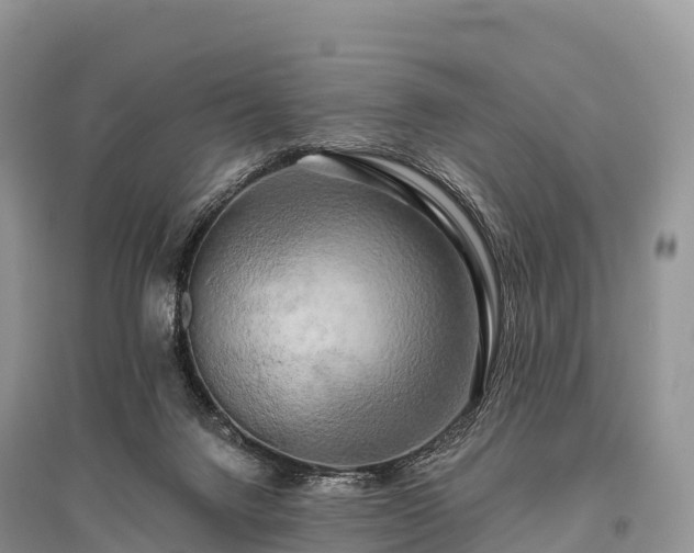 X0000096160072200801251137