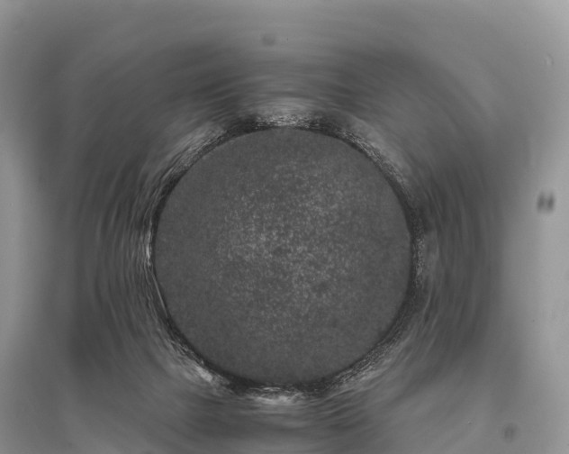 X0000096160073200801251137