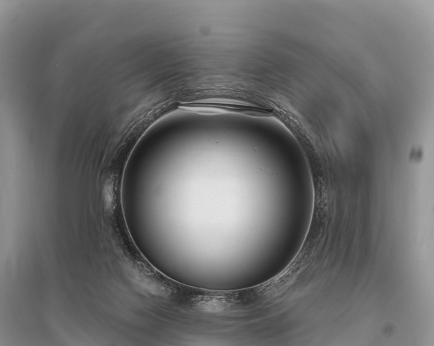 X0000096160074200801251137