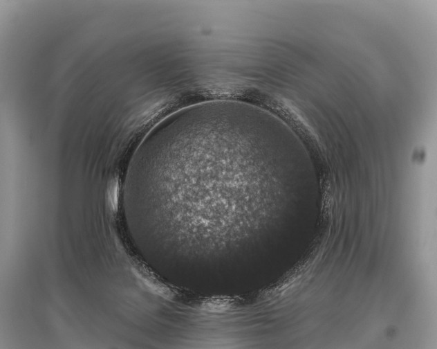 X0000096160076200801251137