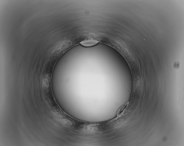 X0000096160078200801251137