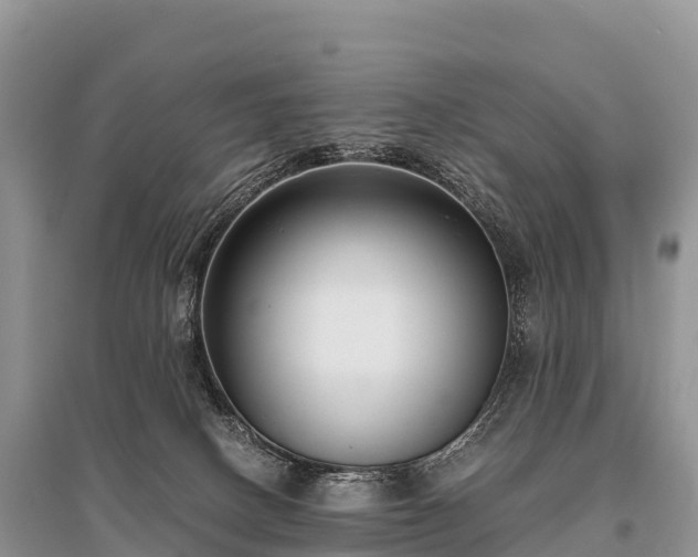 X0000096160082200801251137