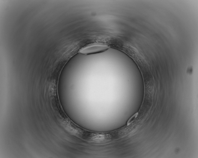 X0000096160083200801251137