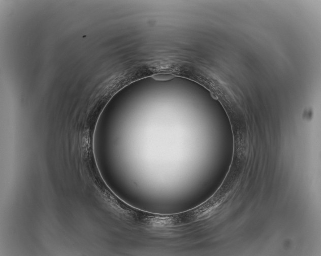 X0000096160085200801251137