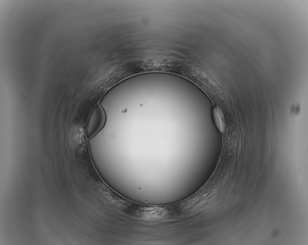 X0000096160087200801251137