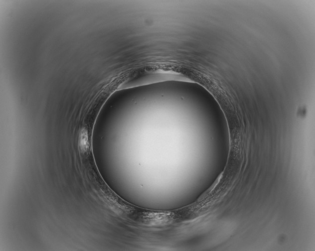 X0000096160089200801251137