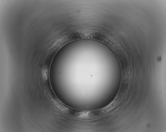 X0000096160090200801251137