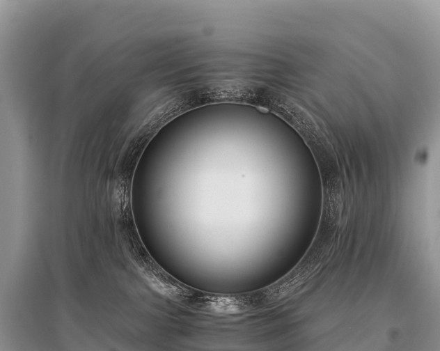 X0000096160091200801251137