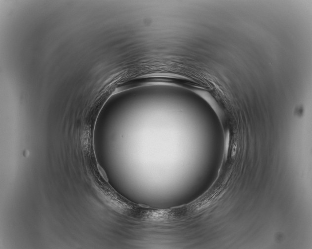 X0000096160092200801251137