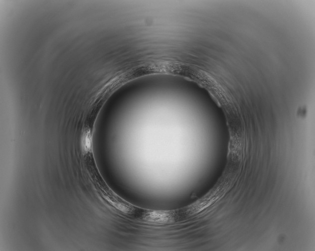 X0000096160095200801251137