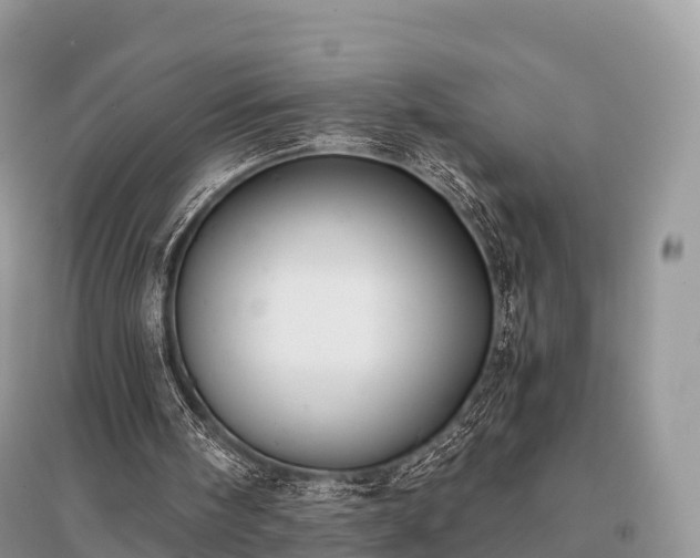 X0000096160098200801251137