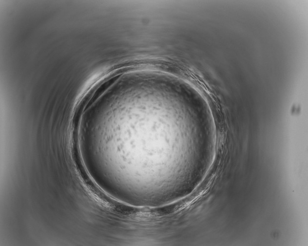 X0000096160101200801251137