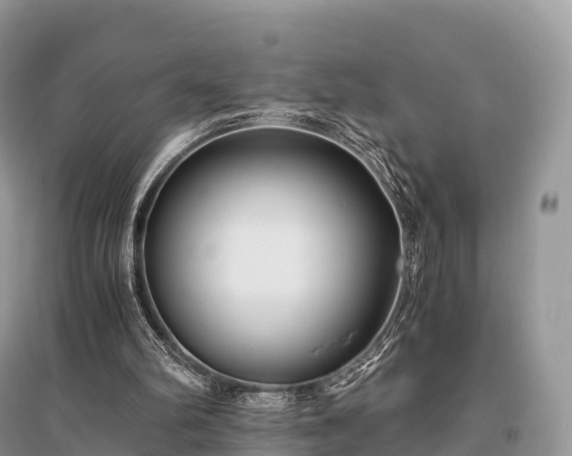 X0000096160102200801251137