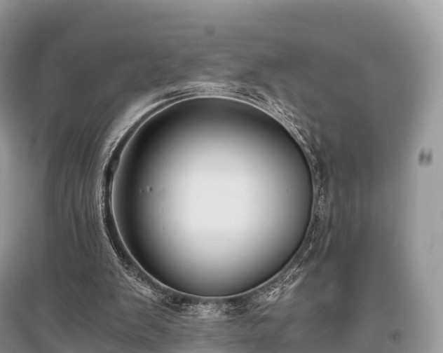 X0000096160103200801251137